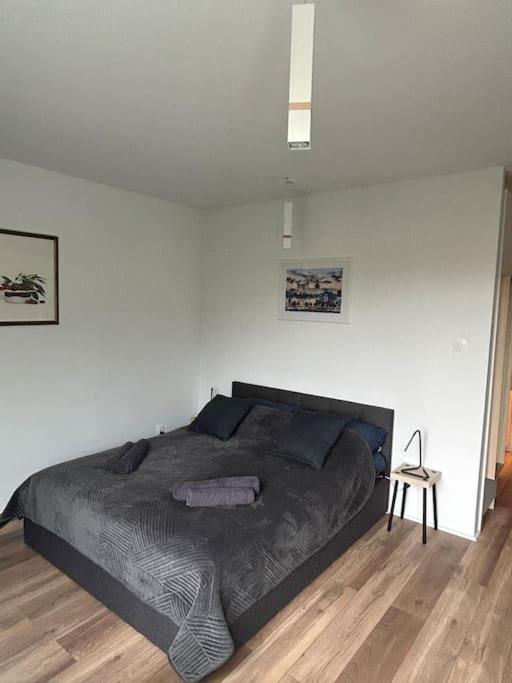 Apartament Stary Szczecin Exterior foto