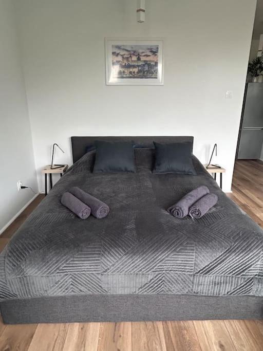 Apartament Stary Szczecin Exterior foto